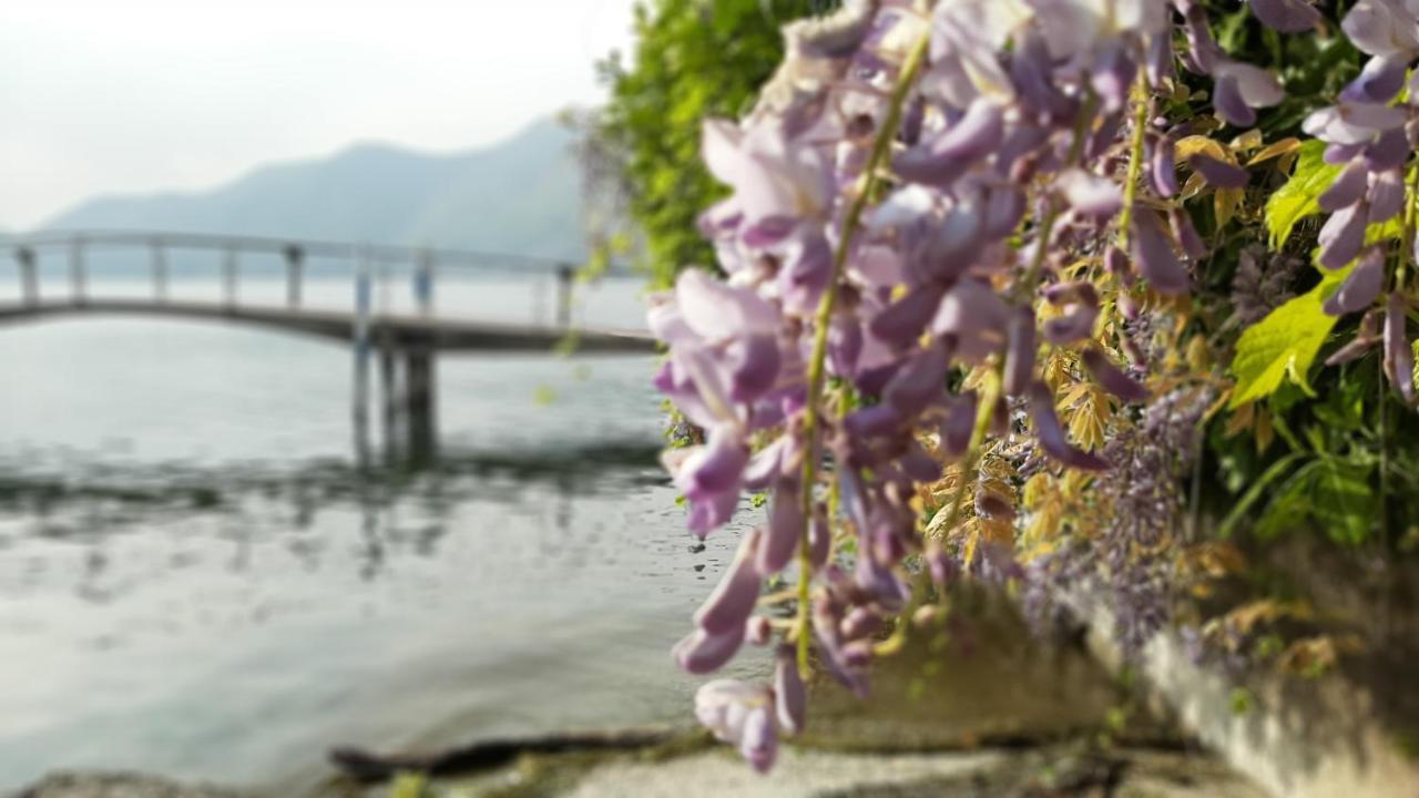 伊塞奥拉瓦兰达住宿加早餐旅馆 外观 照片